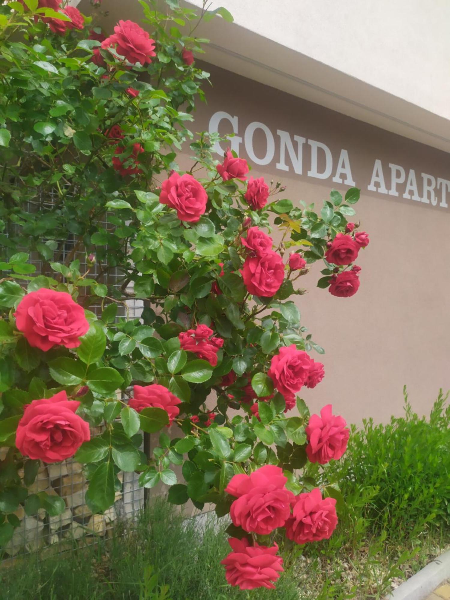 Gonda Apartments Χράντεκ Κράλοβε Εξωτερικό φωτογραφία